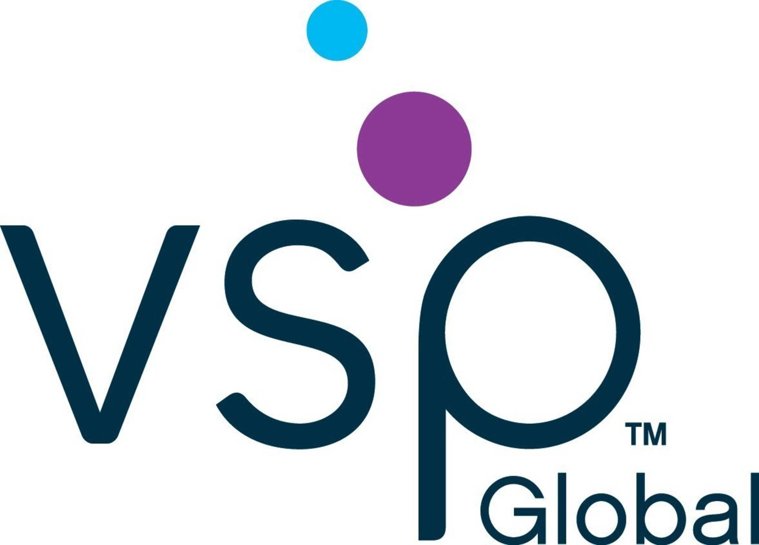 Vision global logo